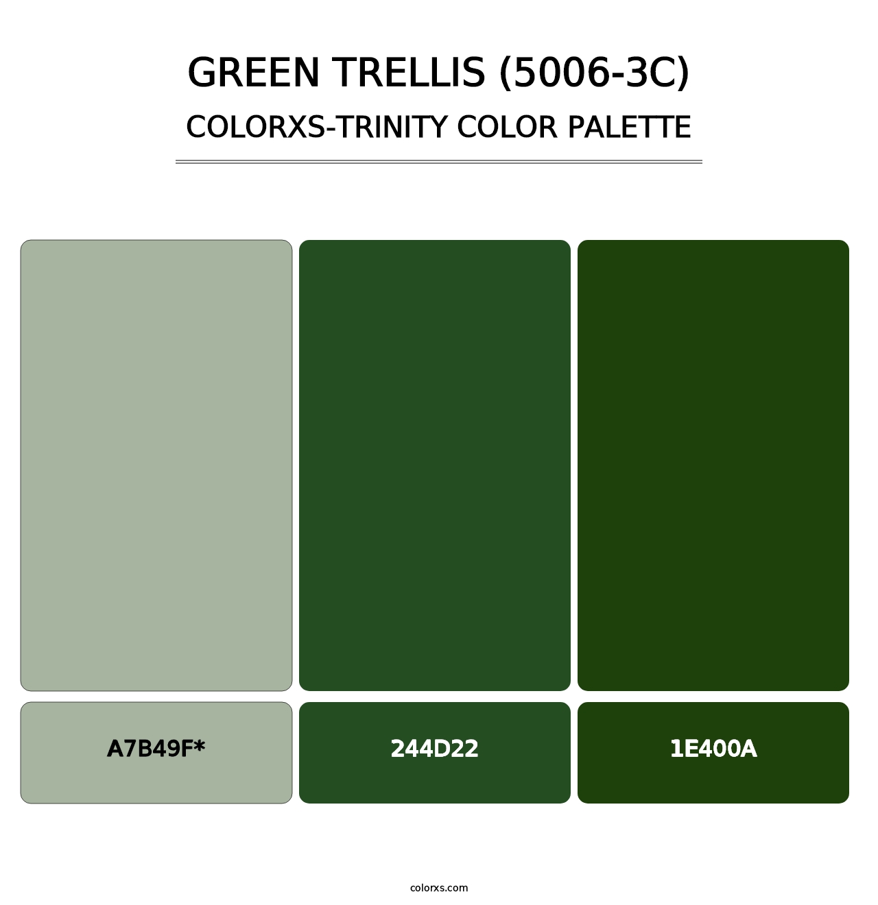 Green Trellis (5006-3C) - Colorxs Trinity Palette