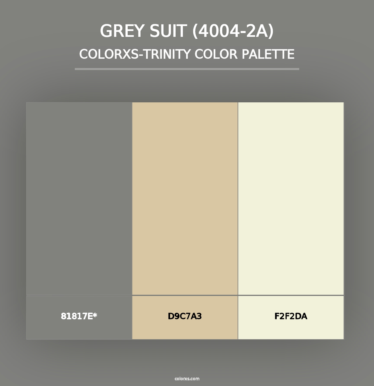 Grey Suit (4004-2A) - Colorxs Trinity Palette