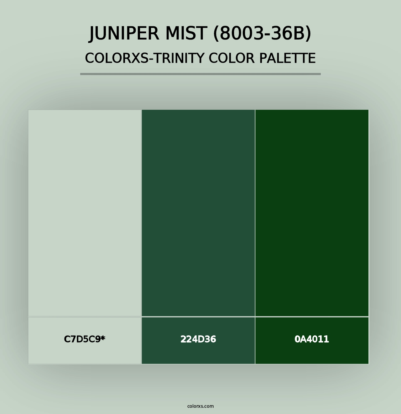 Juniper Mist (8003-36B) - Colorxs Trinity Palette