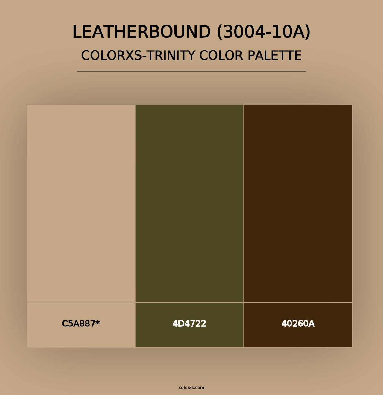 Leatherbound (3004-10A) - Colorxs Trinity Palette