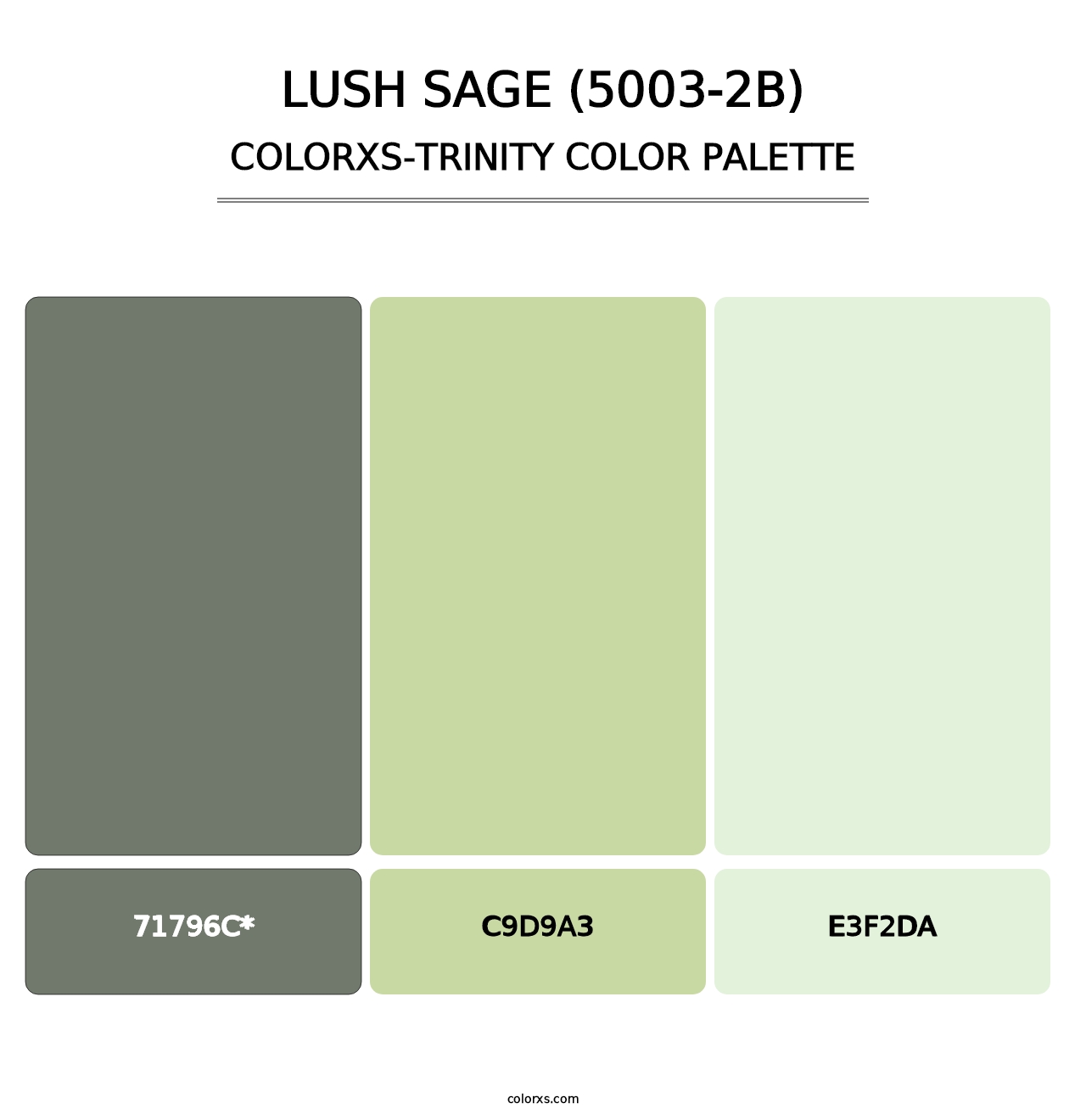 Lush Sage (5003-2B) - Colorxs Trinity Palette