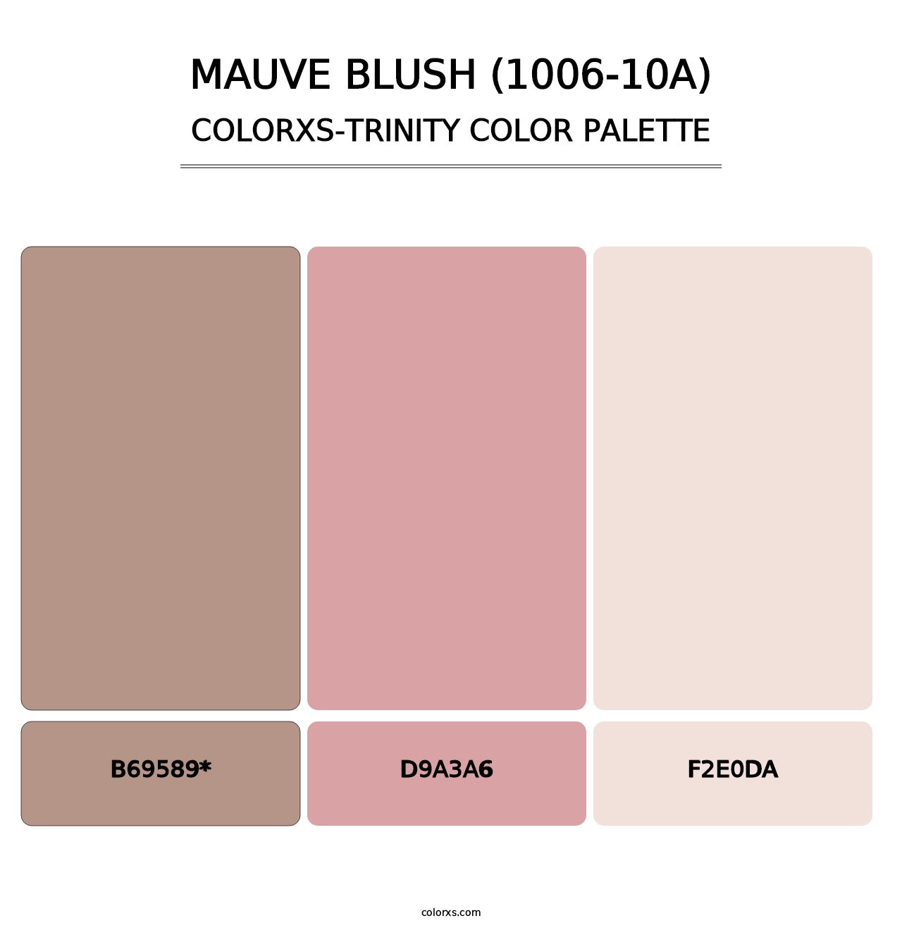 Mauve Blush (1006-10A) - Colorxs Trinity Palette