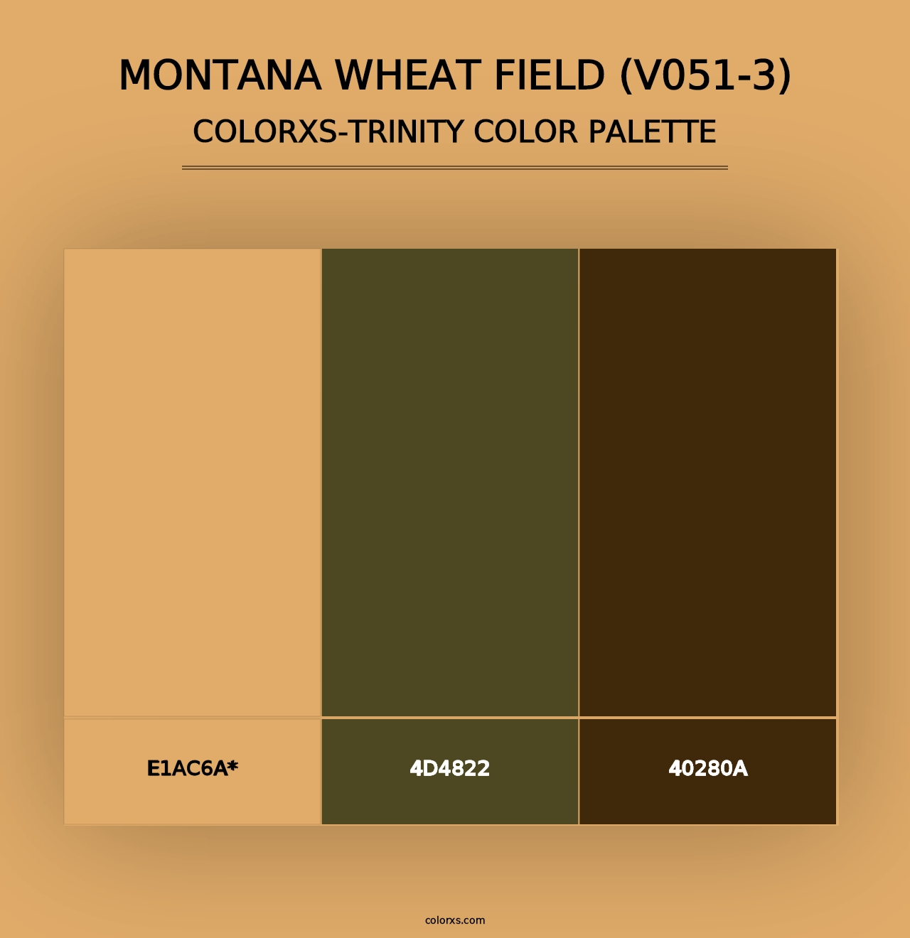 Montana Wheat Field (V051-3) - Colorxs Trinity Palette