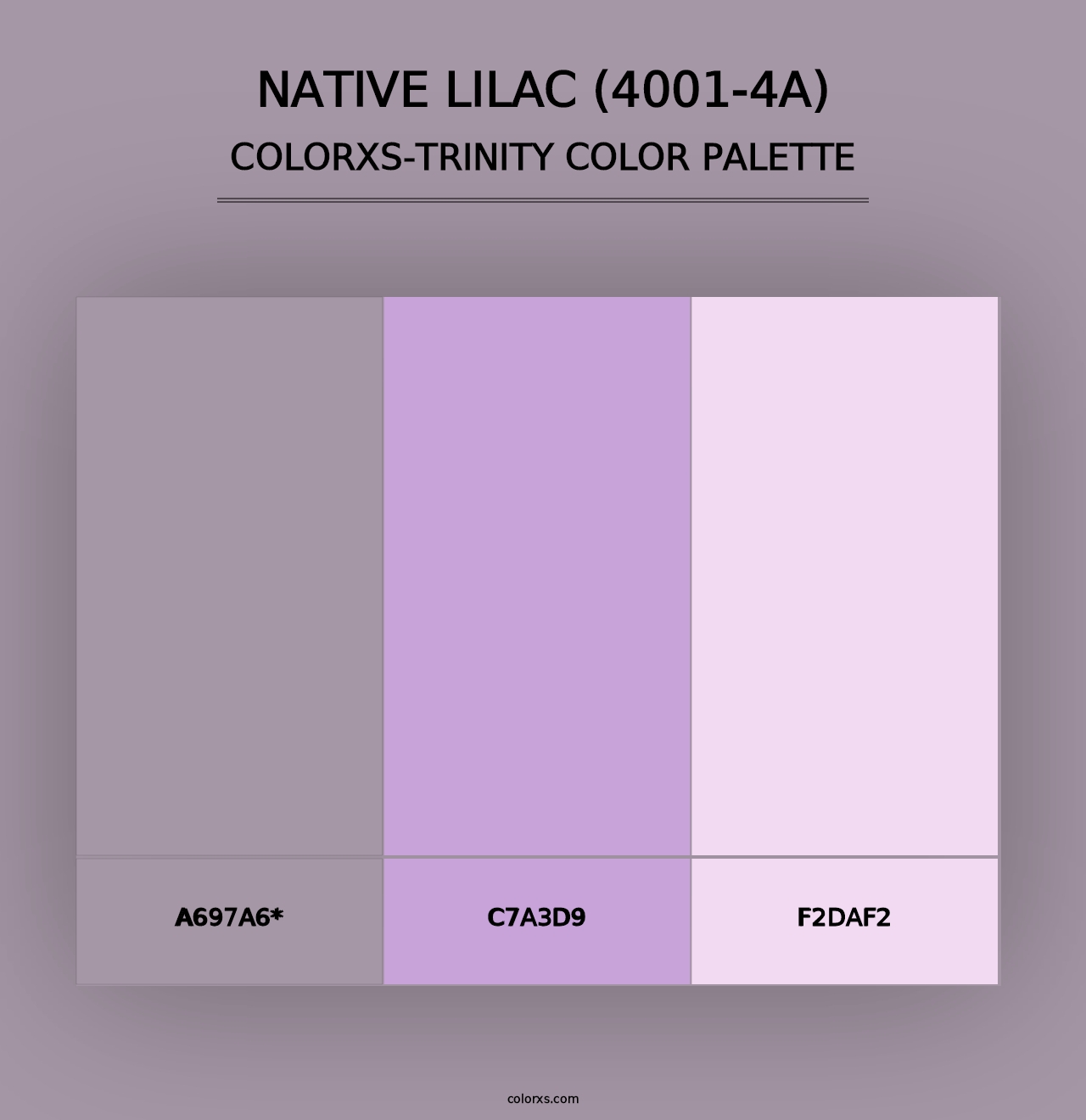 Native Lilac (4001-4A) - Colorxs Trinity Palette