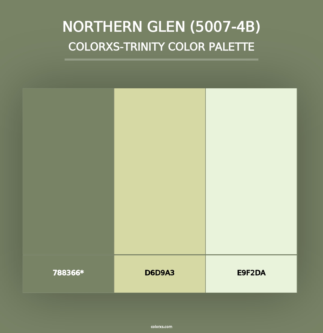 Northern Glen (5007-4B) - Colorxs Trinity Palette