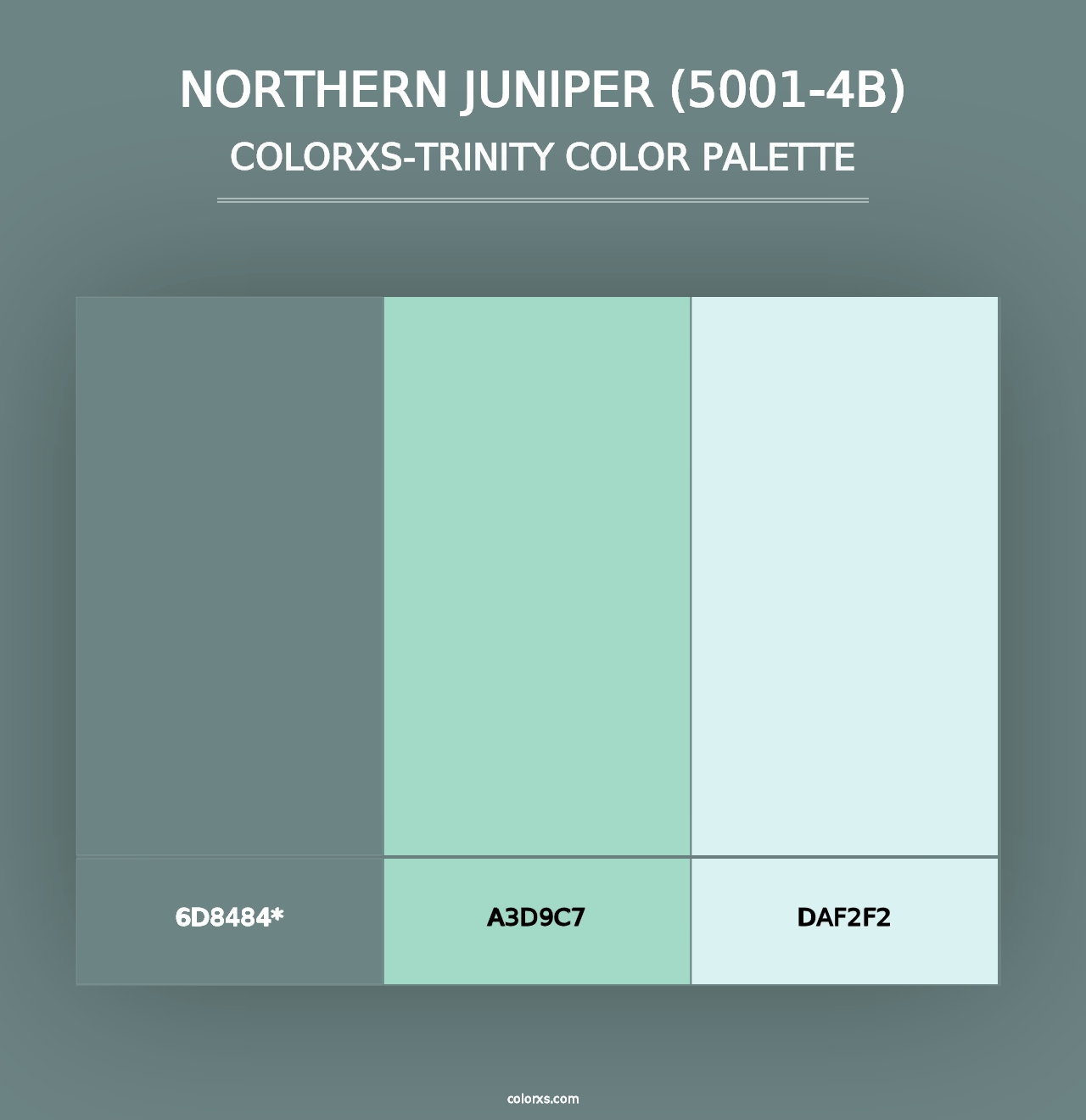 Northern Juniper (5001-4B) - Colorxs Trinity Palette