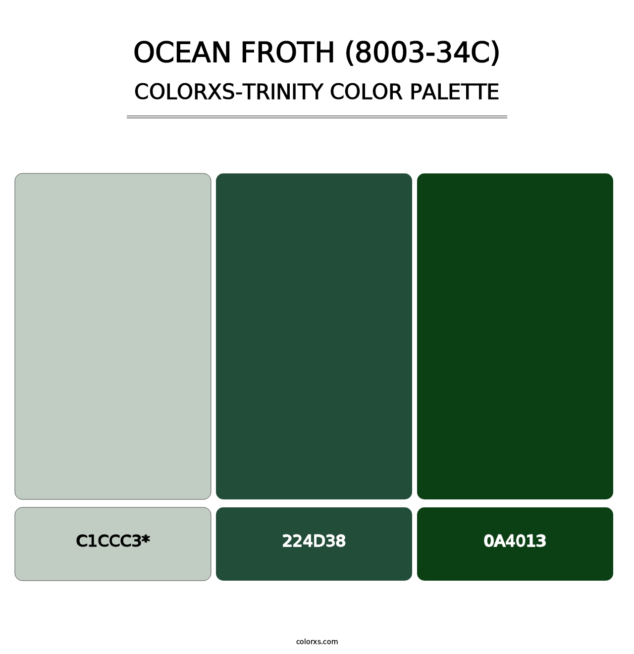 Ocean Froth (8003-34C) - Colorxs Trinity Palette