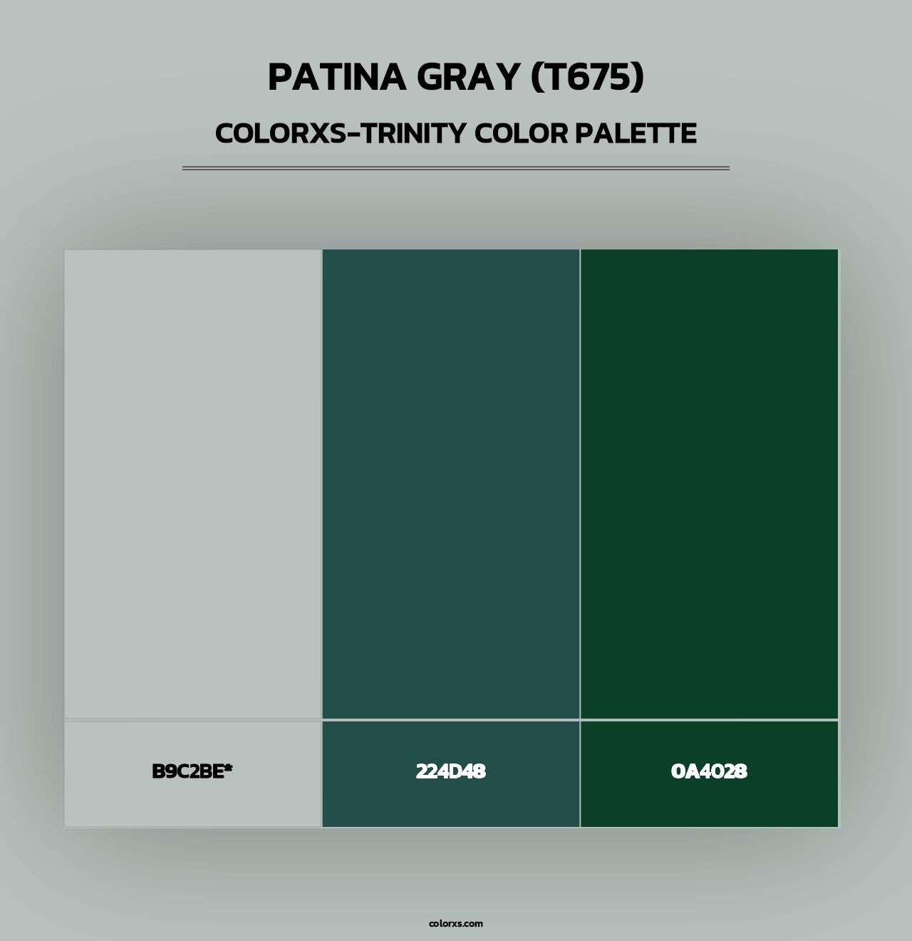 Patina Gray (T675) - Colorxs Trinity Palette