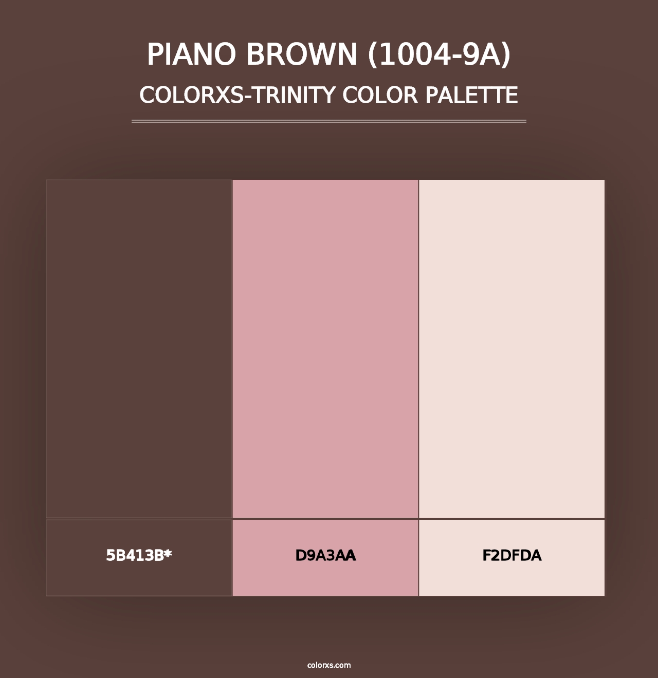 Piano Brown (1004-9A) - Colorxs Trinity Palette