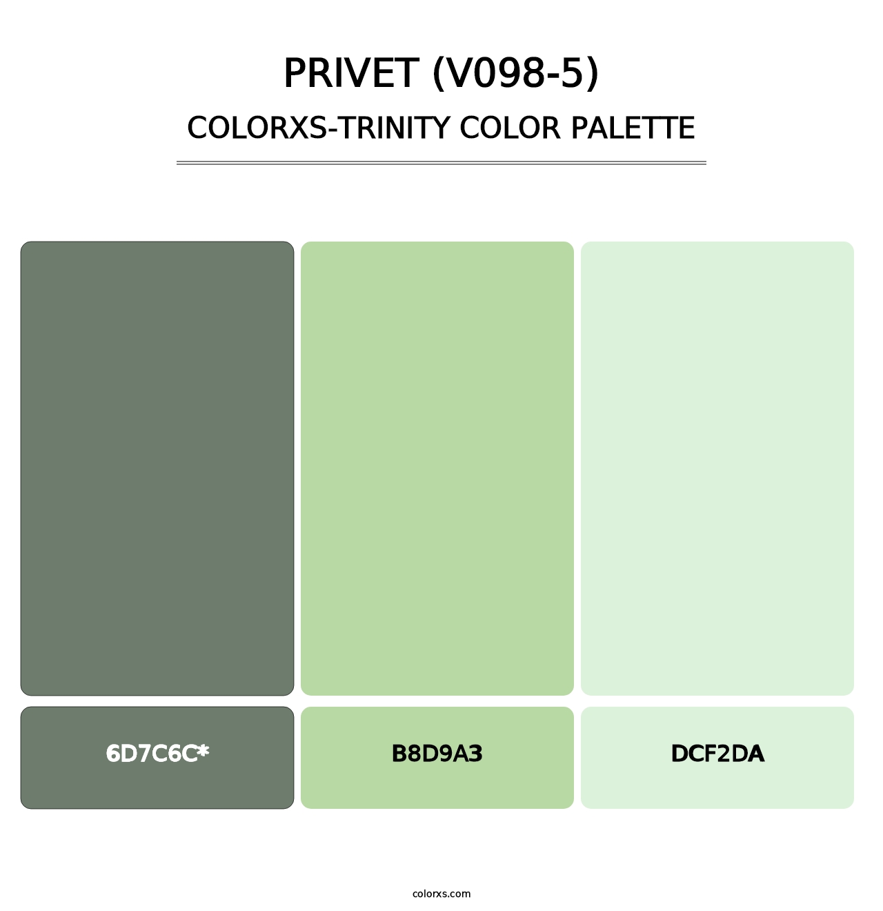 Privet (V098-5) - Colorxs Trinity Palette