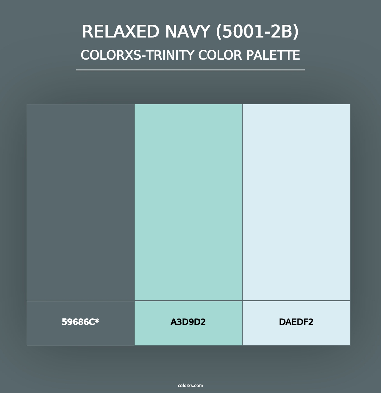 Relaxed Navy (5001-2B) - Colorxs Trinity Palette