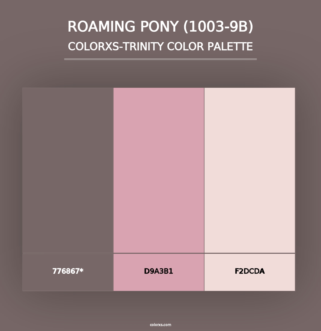 Roaming Pony (1003-9B) - Colorxs Trinity Palette