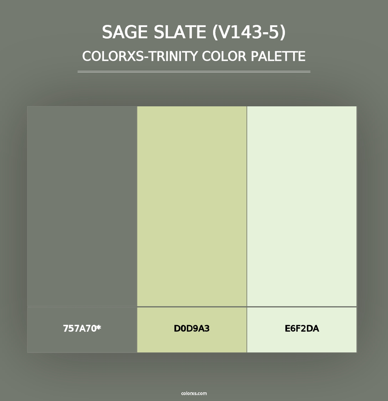 Sage Slate (V143-5) - Colorxs Trinity Palette