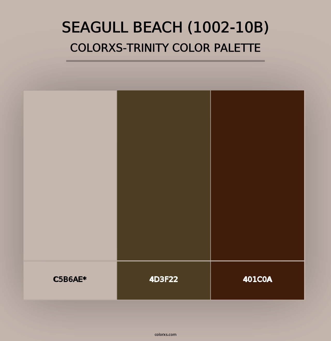 Seagull Beach (1002-10B) - Colorxs Trinity Palette