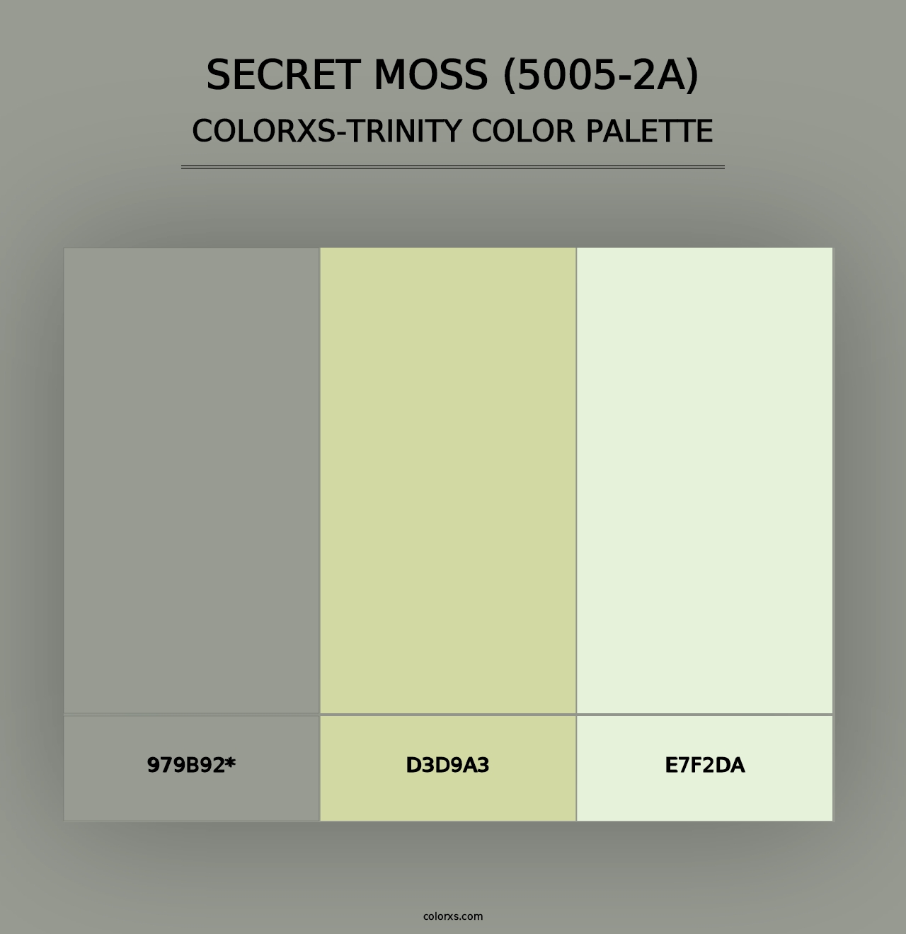 Secret Moss (5005-2A) - Colorxs Trinity Palette