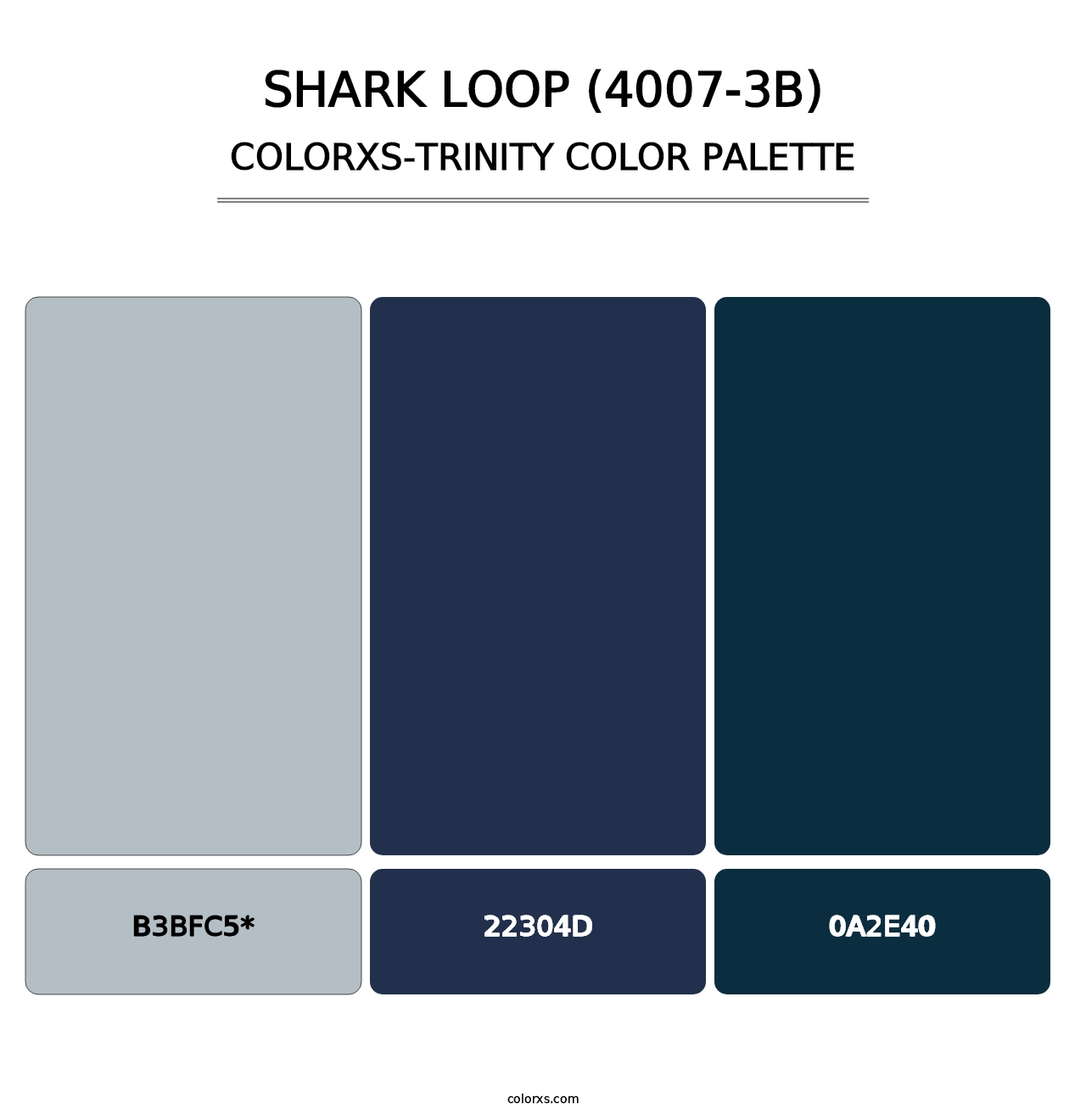 Shark Loop (4007-3B) - Colorxs Trinity Palette