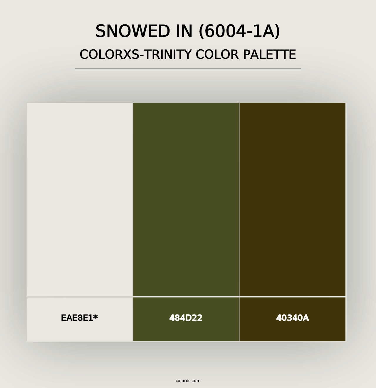 Snowed In (6004-1A) - Colorxs Trinity Palette