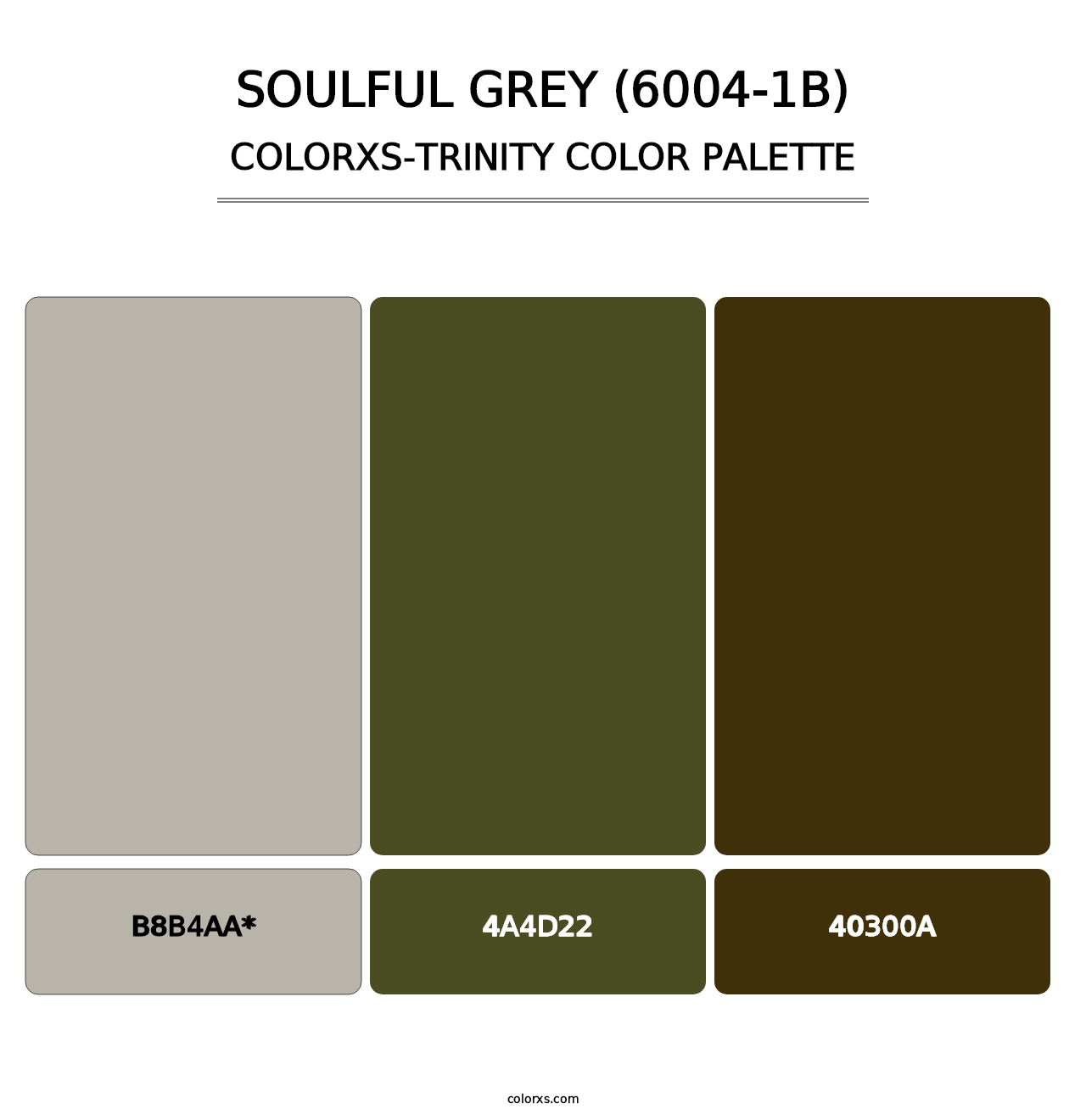 Soulful Grey (6004-1B) - Colorxs Trinity Palette