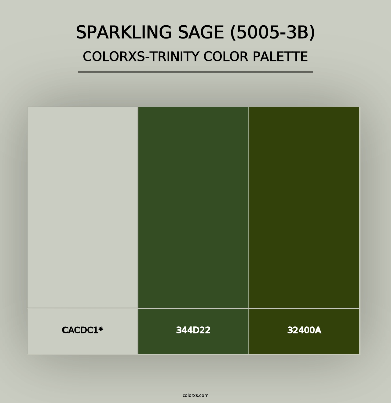 Sparkling Sage (5005-3B) - Colorxs Trinity Palette