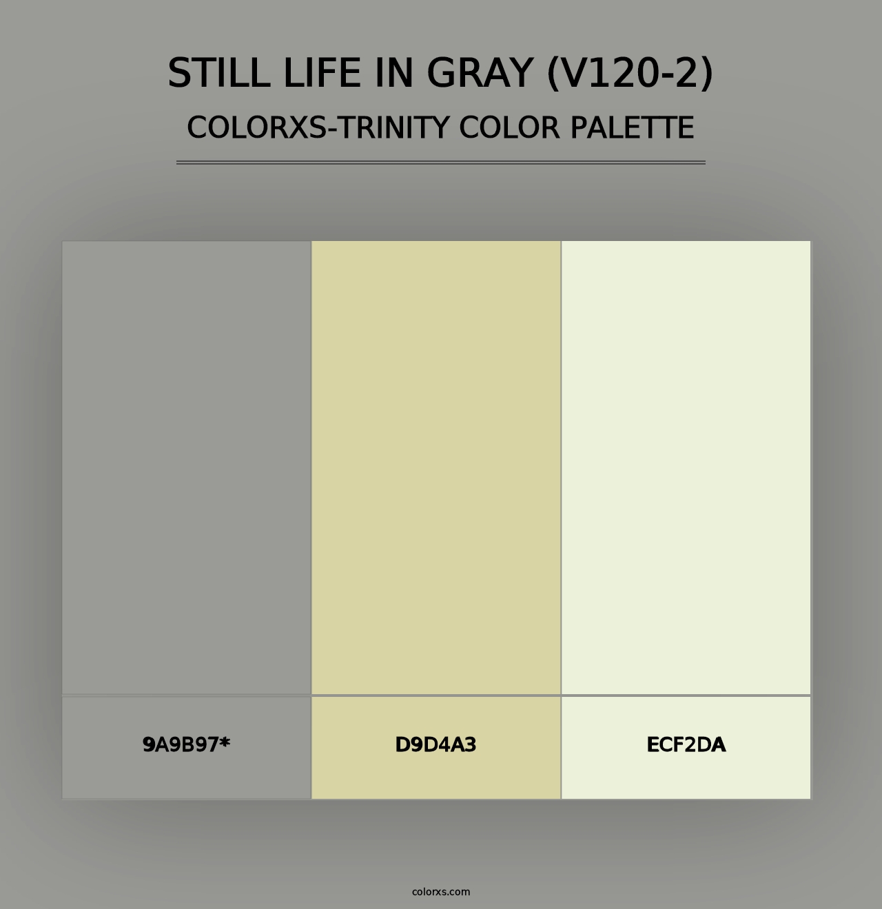 Still Life in Gray (V120-2) - Colorxs Trinity Palette