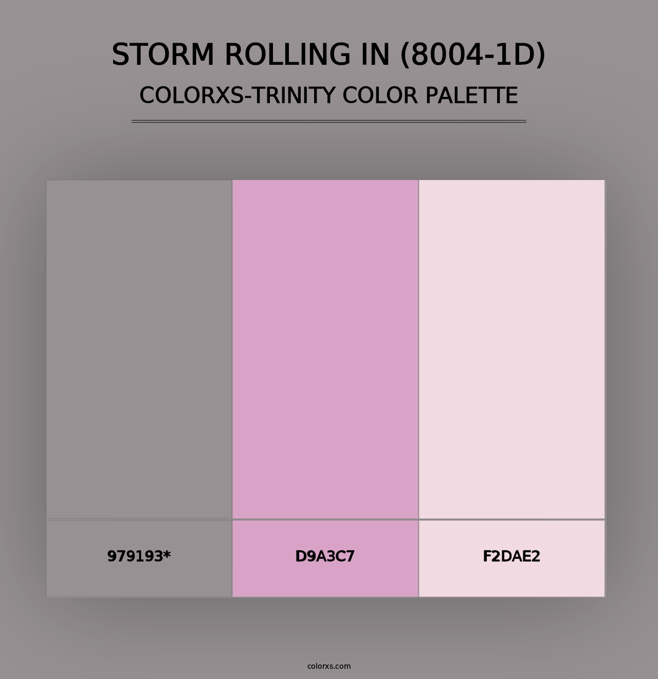 Storm Rolling In (8004-1D) - Colorxs Trinity Palette