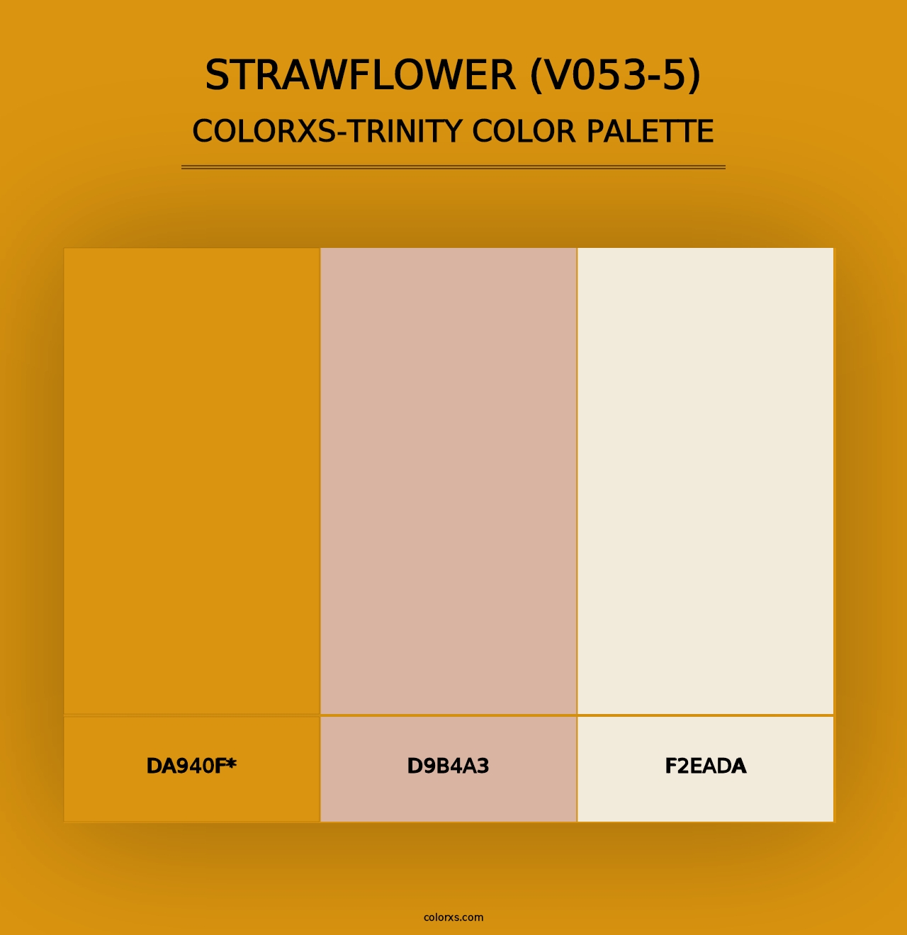 Strawflower (V053-5) - Colorxs Trinity Palette