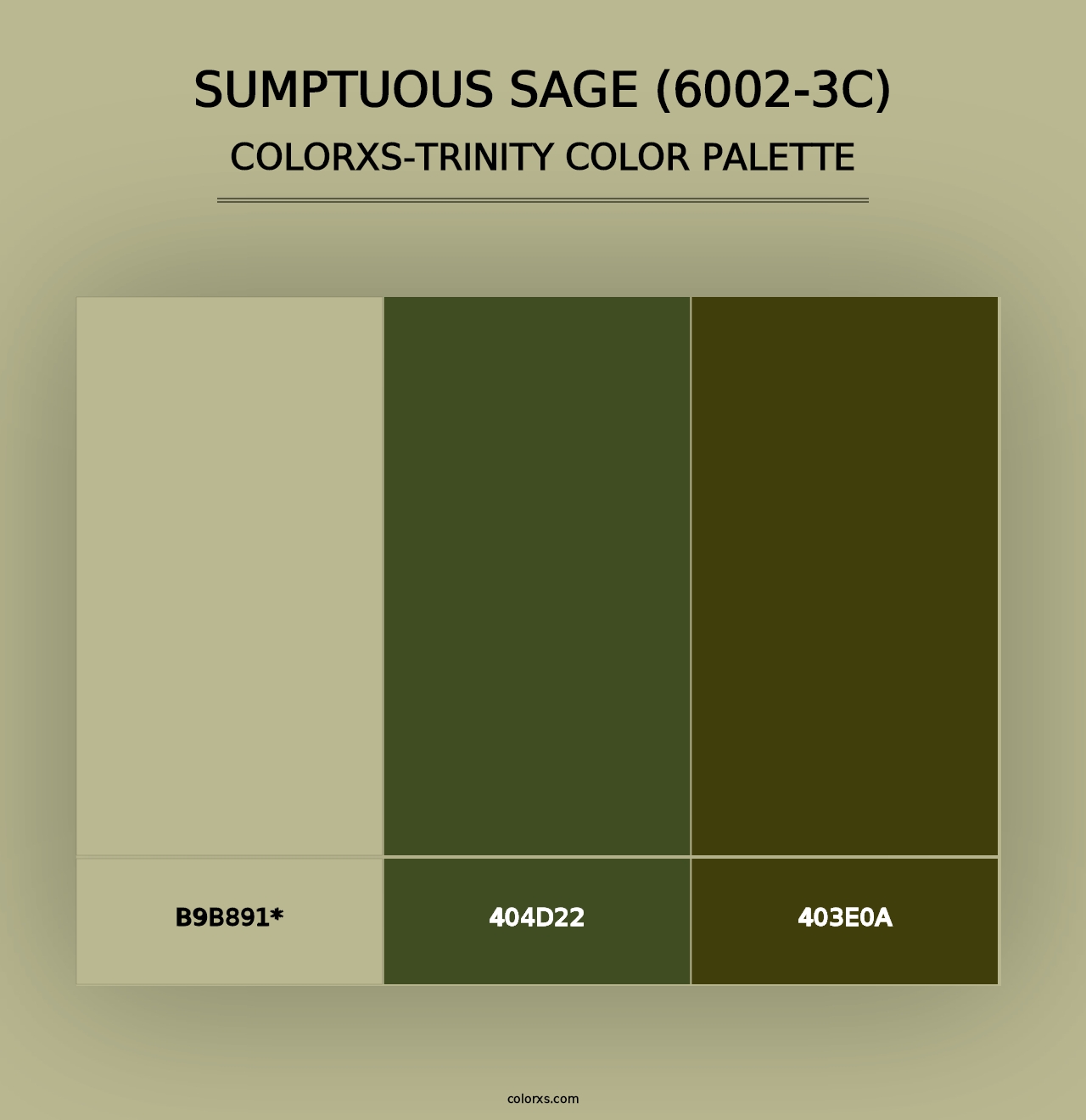 Sumptuous Sage (6002-3C) - Colorxs Trinity Palette