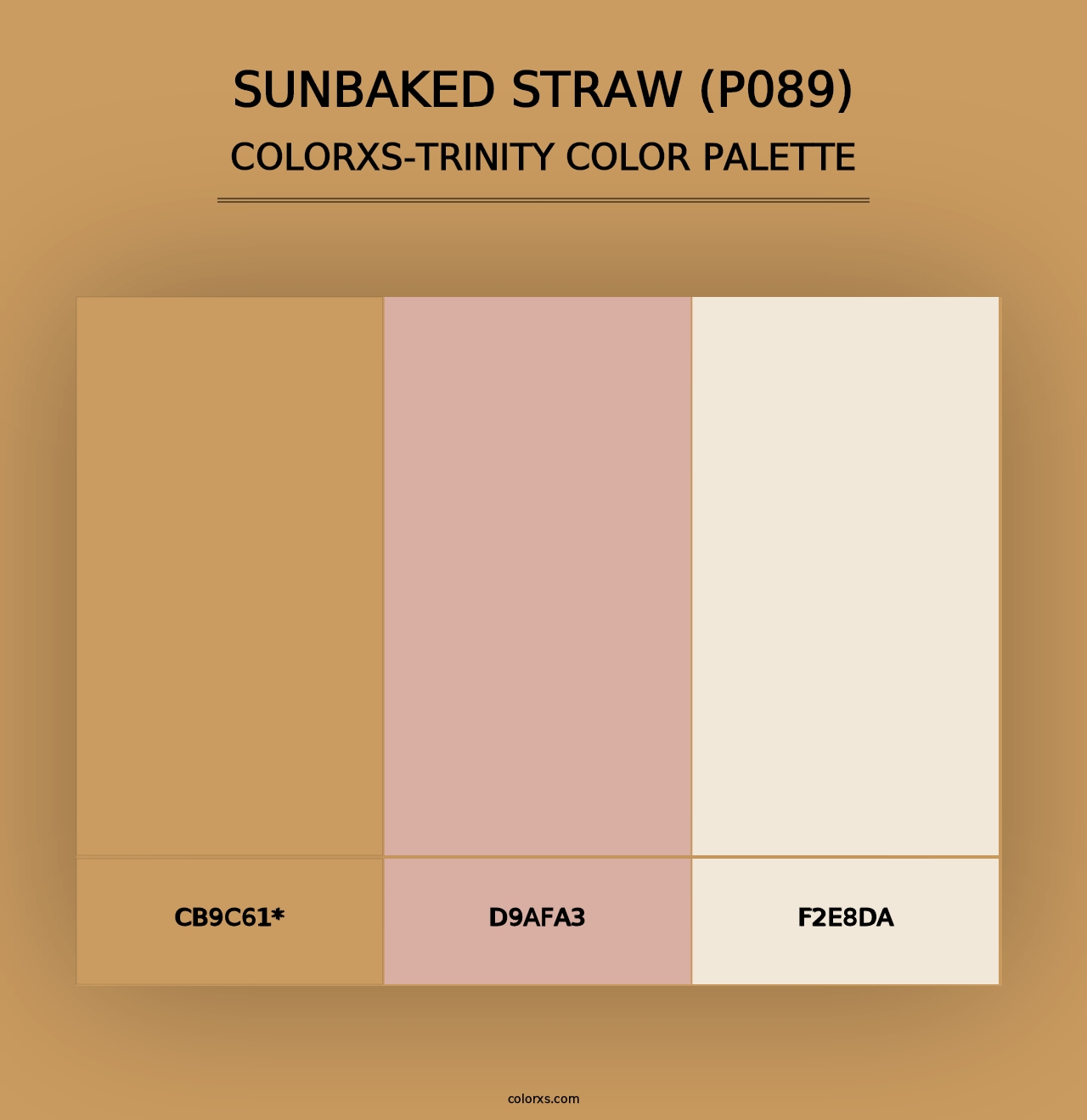 Sunbaked Straw (P089) - Colorxs Trinity Palette