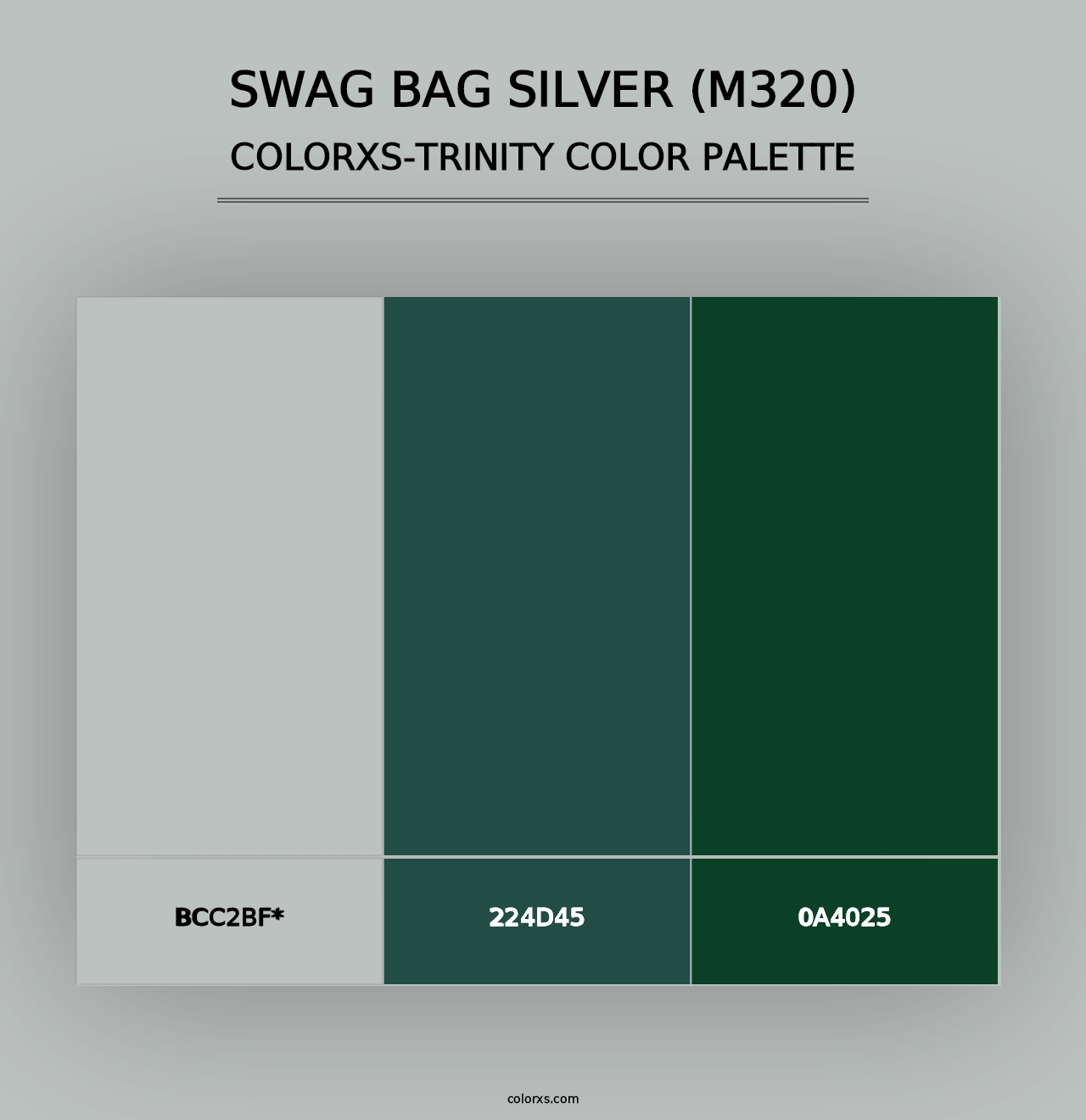 Swag Bag Silver (M320) - Colorxs Trinity Palette