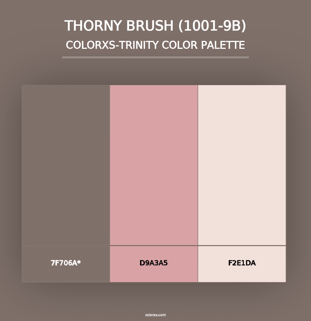 Thorny Brush (1001-9B) - Colorxs Trinity Palette