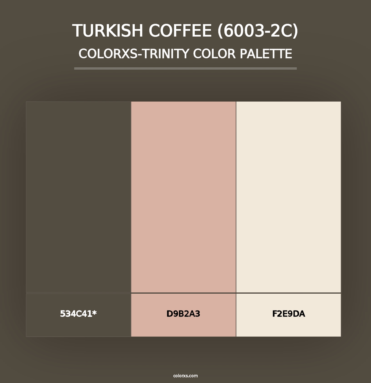 Turkish Coffee (6003-2C) - Colorxs Trinity Palette