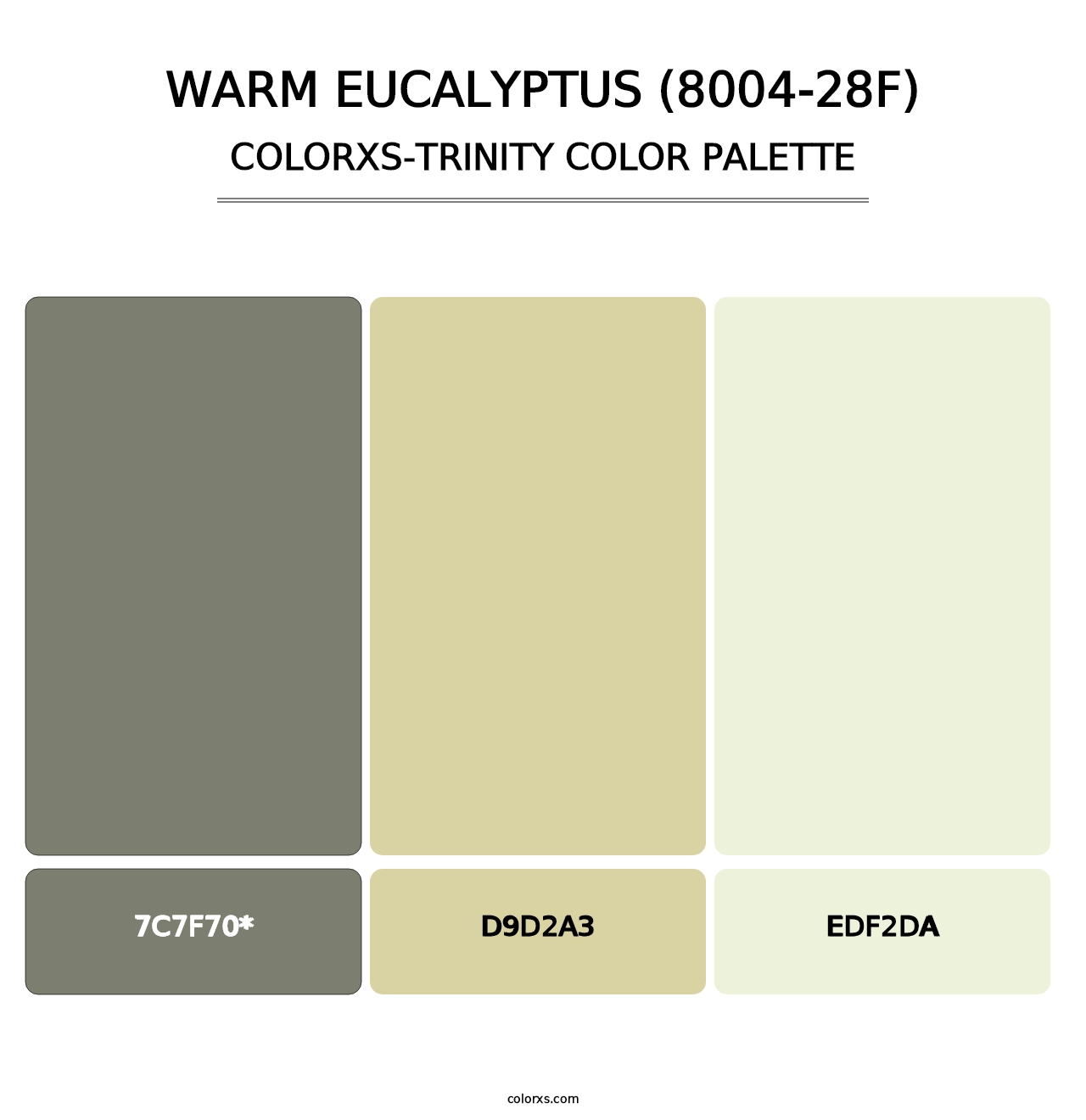 Warm Eucalyptus (8004-28F) - Colorxs Trinity Palette