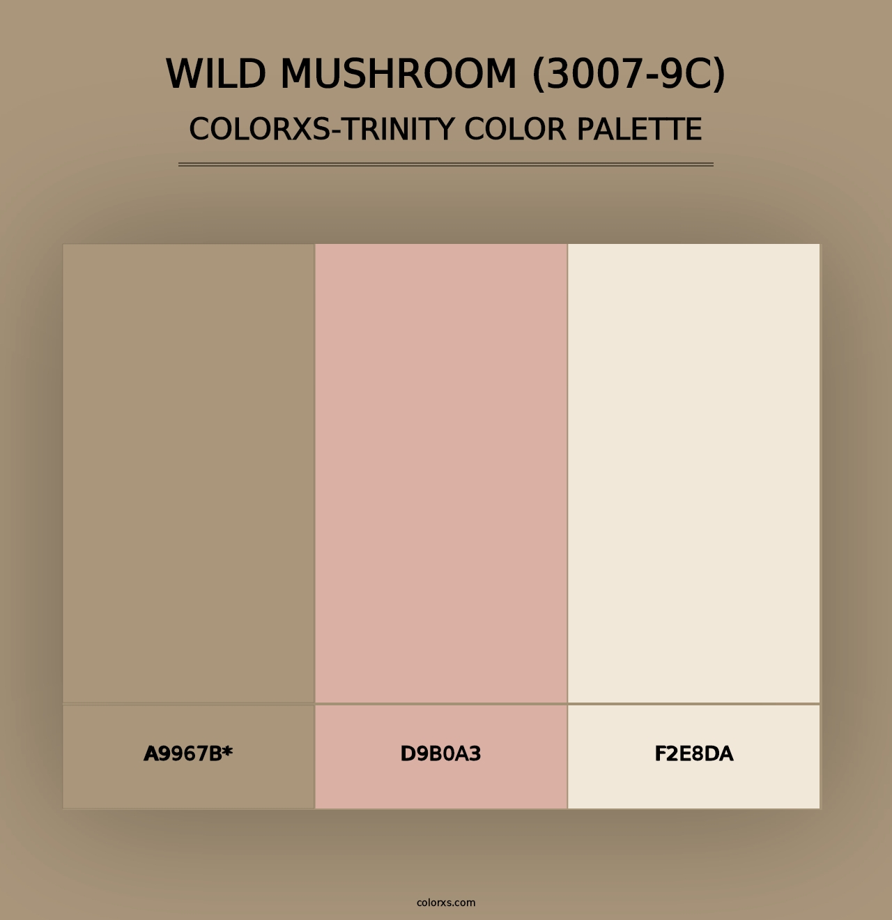 Wild Mushroom (3007-9C) - Colorxs Trinity Palette