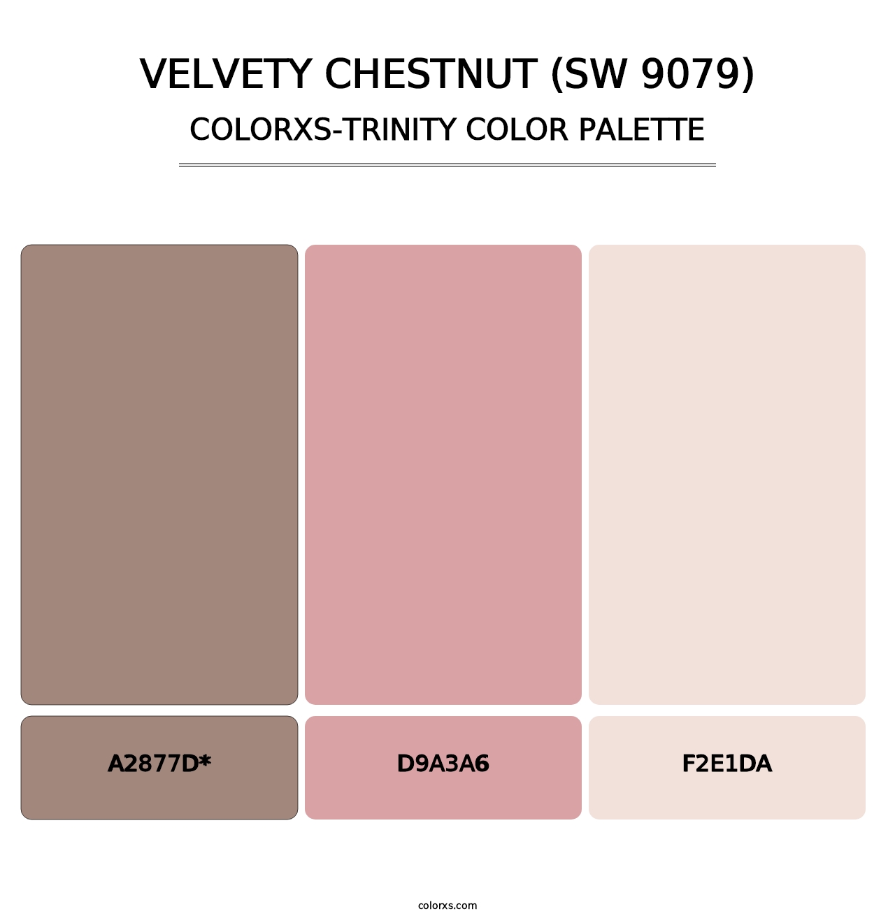 Velvety Chestnut (SW 9079) - Colorxs Trinity Palette