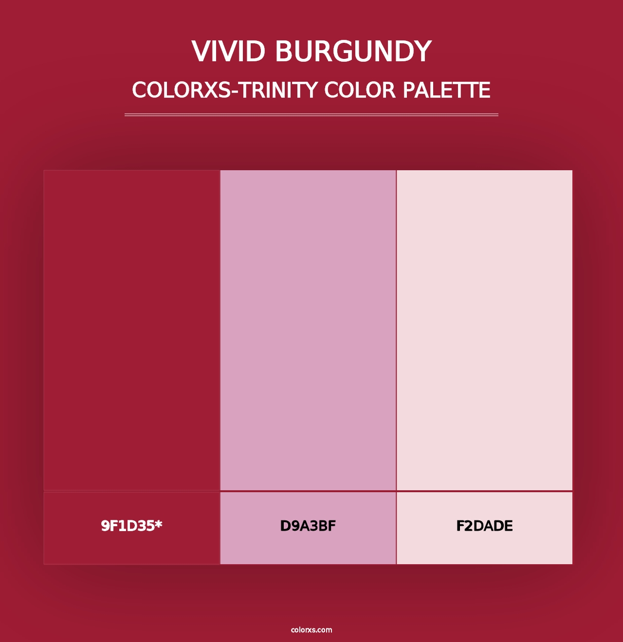 Vivid Burgundy - Colorxs Trinity Palette