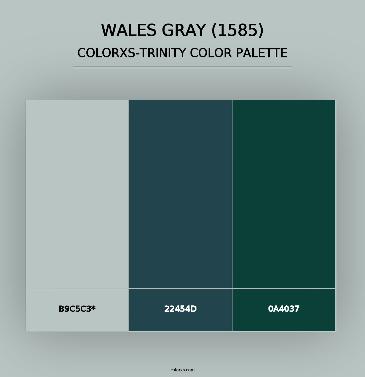 Wales Gray (1585) - Colorxs Trinity Palette