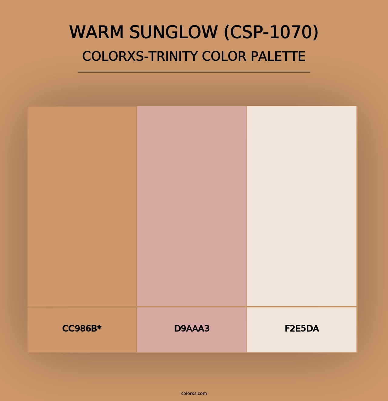 Warm Sunglow (CSP-1070) - Colorxs Trinity Palette