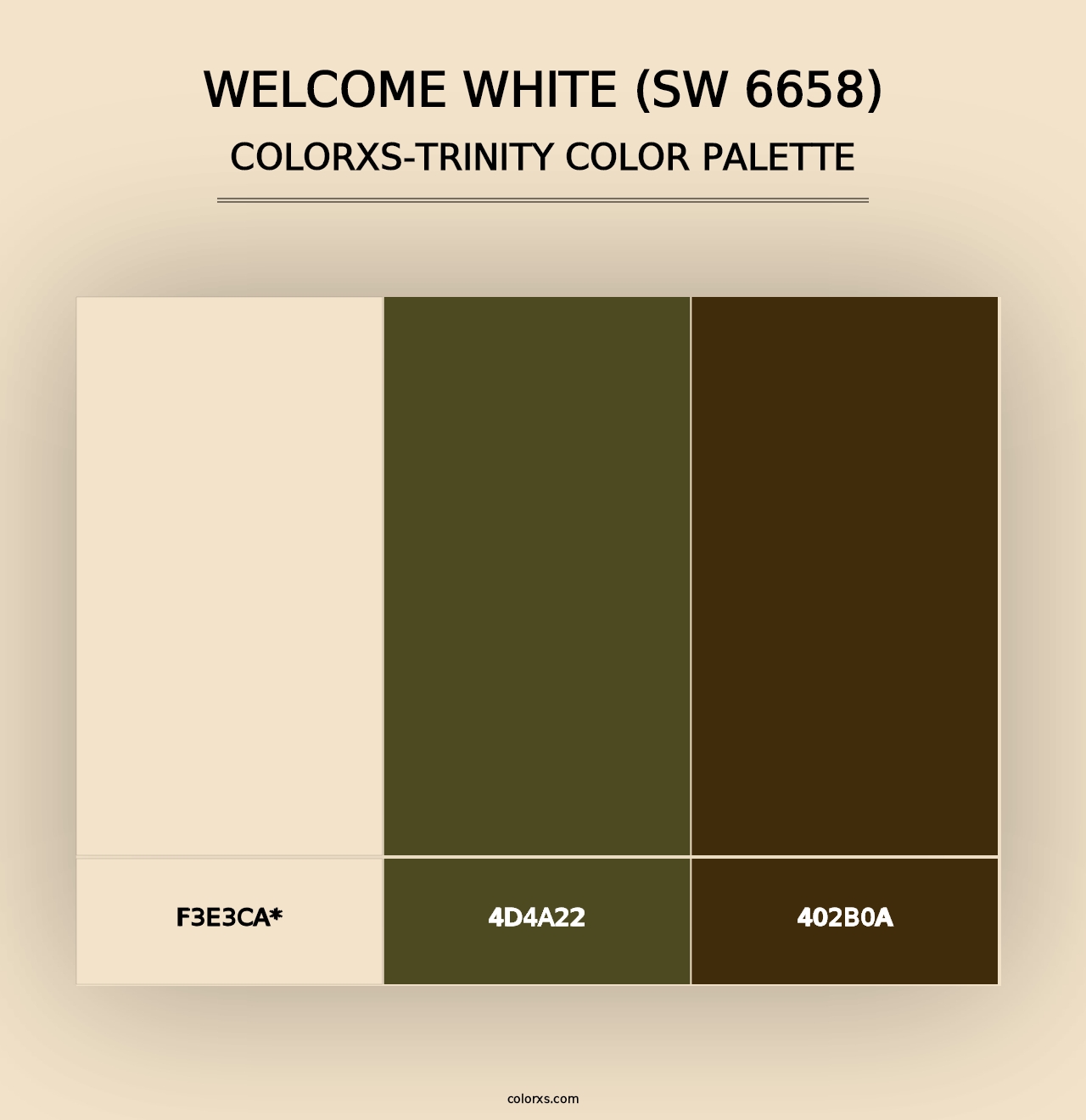 Welcome White (SW 6658) - Colorxs Trinity Palette