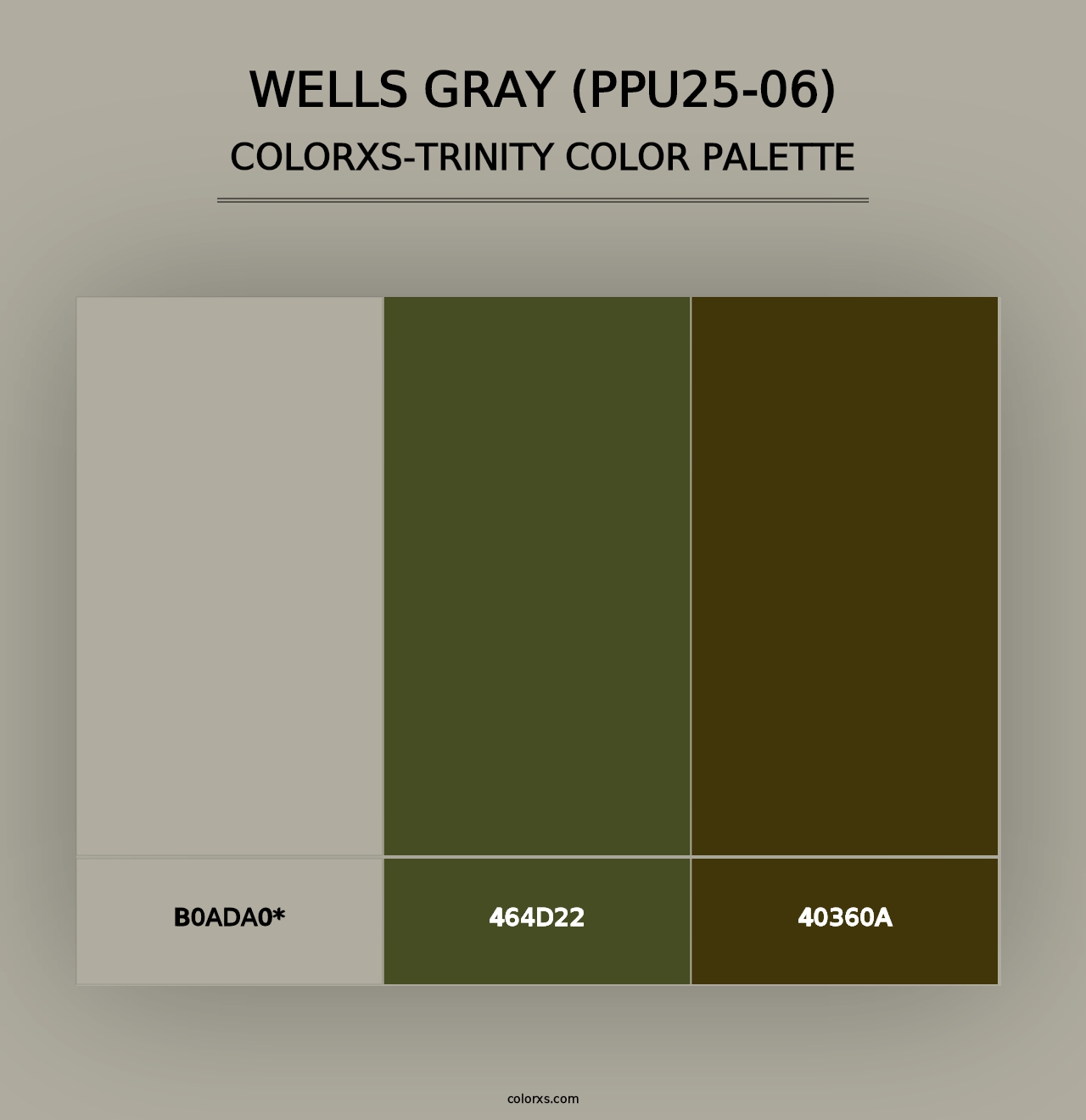 Wells Gray (PPU25-06) - Colorxs Trinity Palette