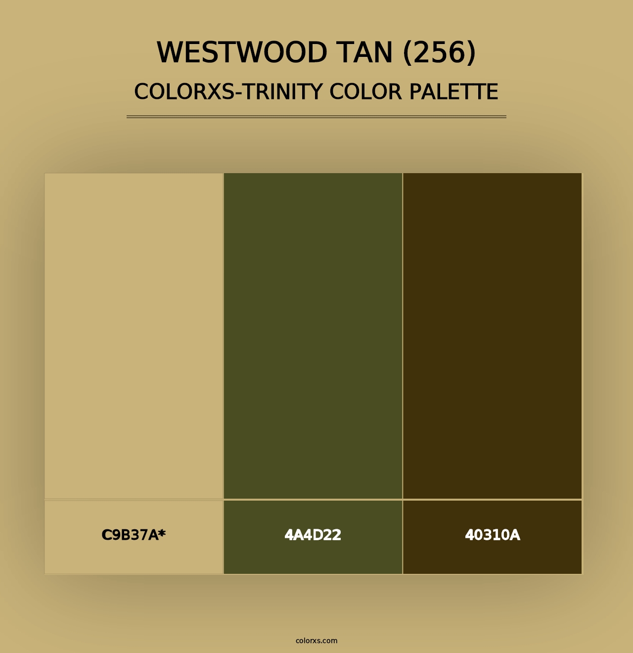 Westwood Tan (256) - Colorxs Trinity Palette