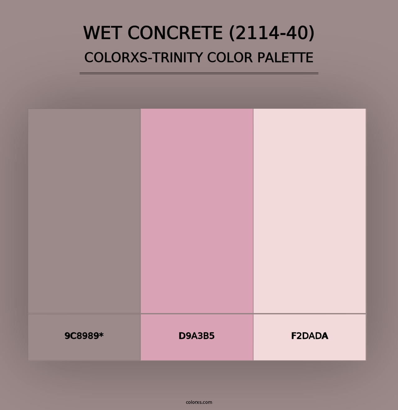 Wet Concrete (2114-40) - Colorxs Trinity Palette