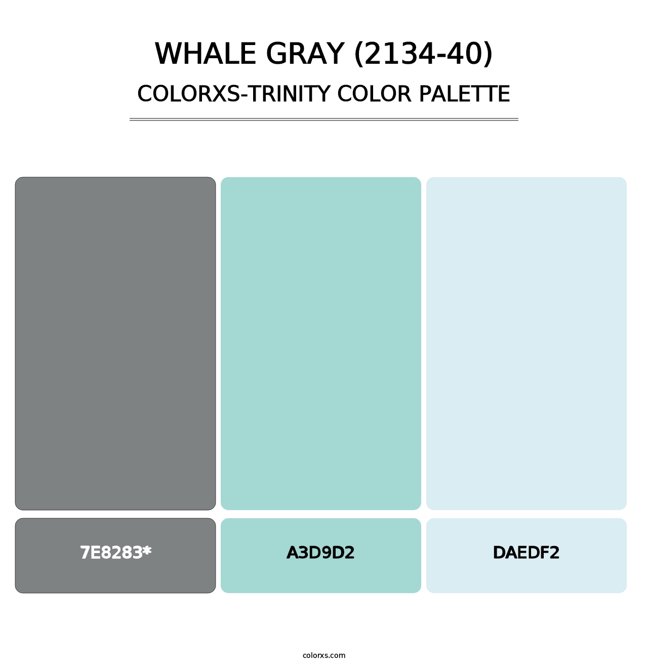 Whale Gray (2134-40) - Colorxs Trinity Palette