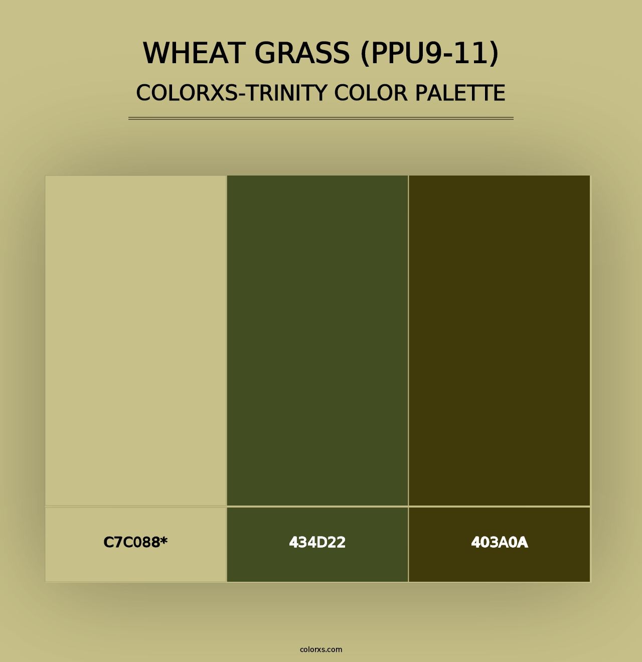 Wheat Grass (PPU9-11) - Colorxs Trinity Palette