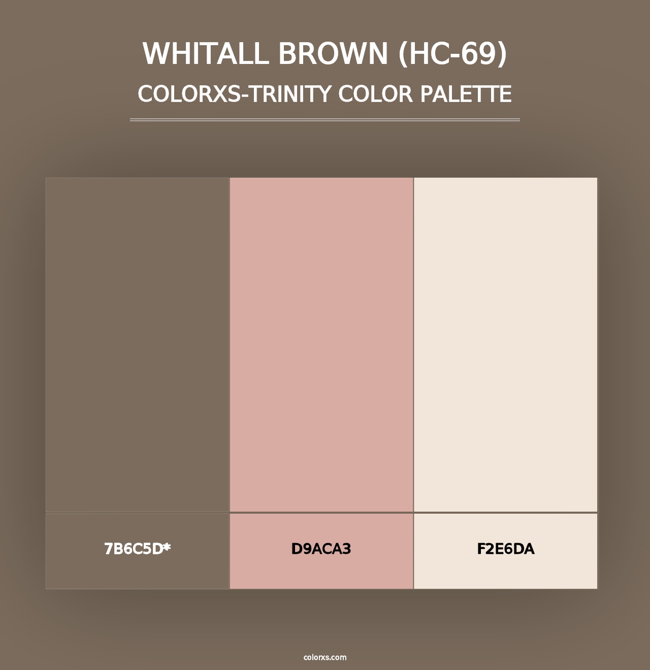 Whitall Brown (HC-69) - Colorxs Trinity Palette