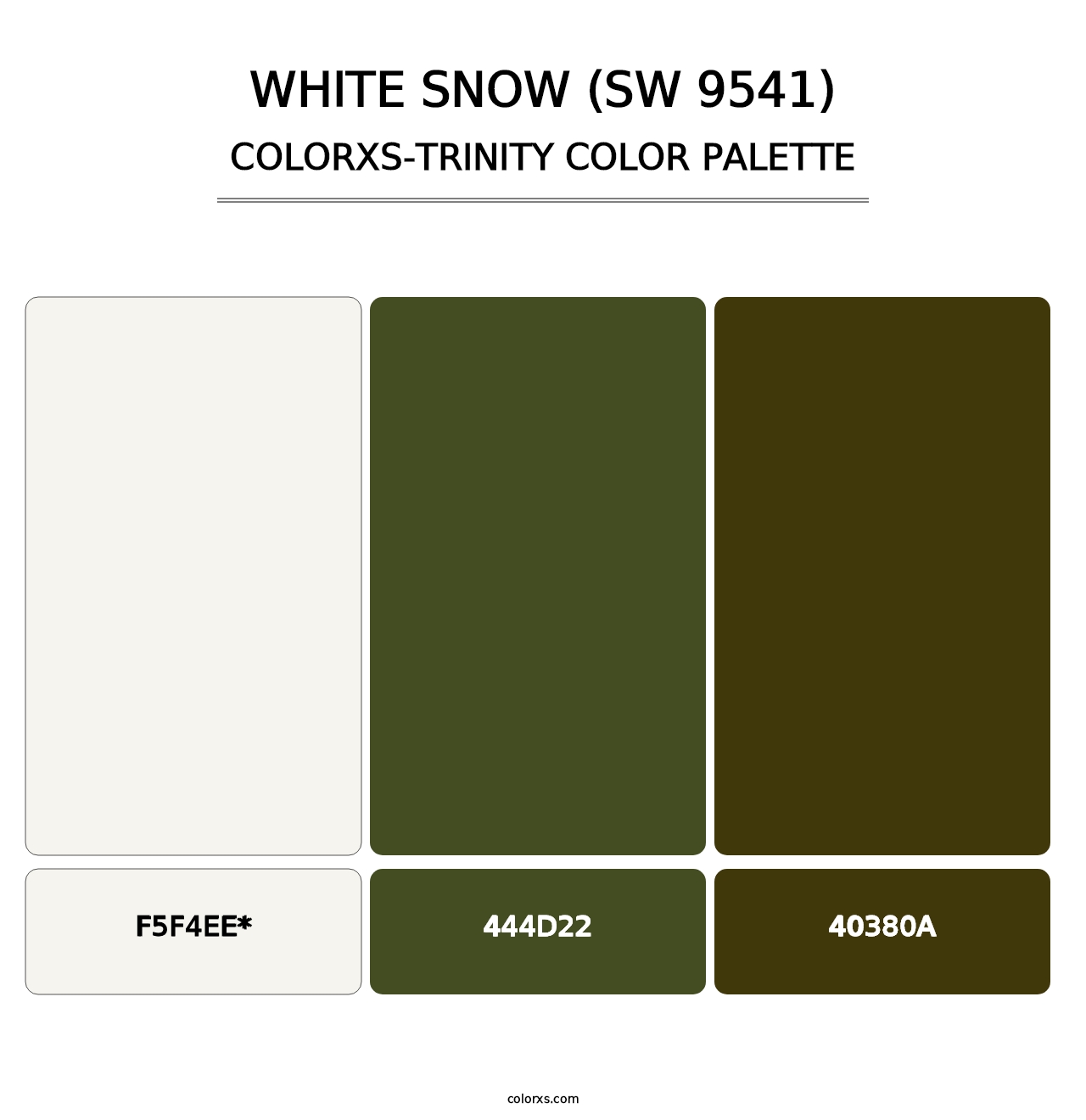 White Snow (SW 9541) - Colorxs Trinity Palette