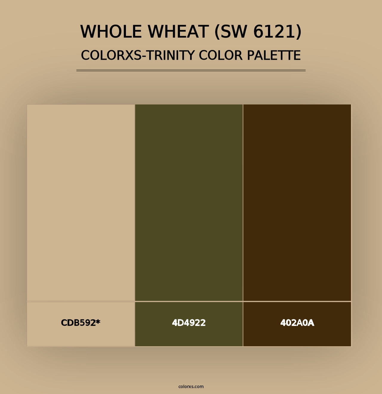 Whole Wheat (SW 6121) - Colorxs Trinity Palette