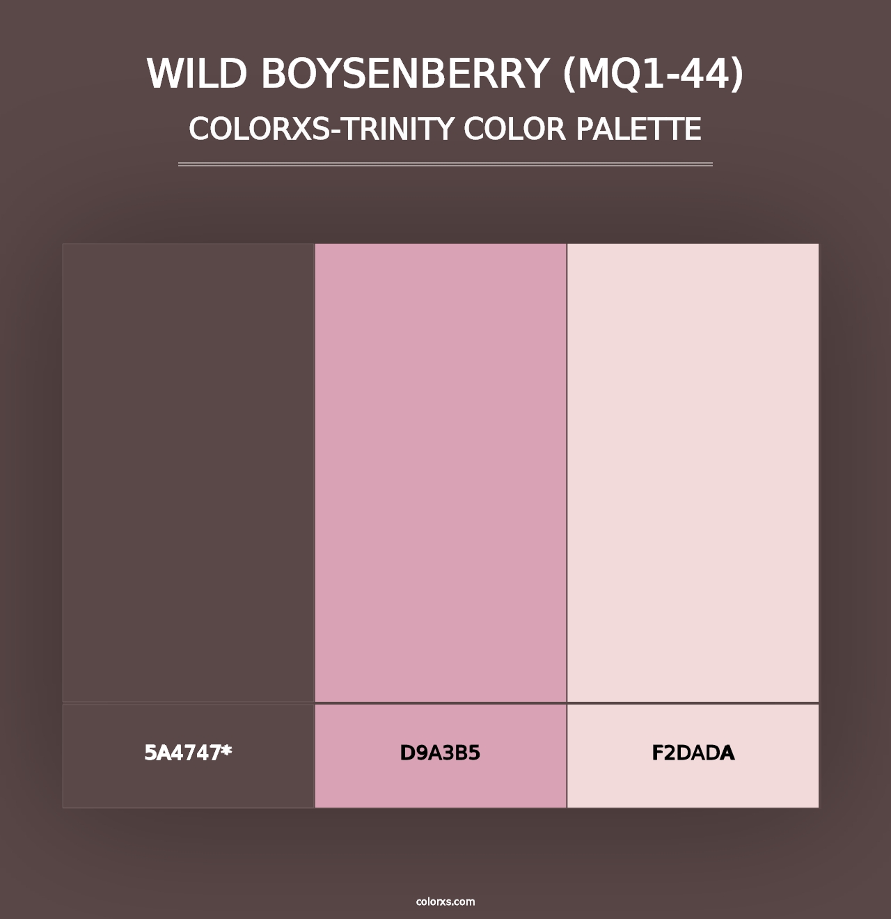 Wild Boysenberry (MQ1-44) - Colorxs Trinity Palette