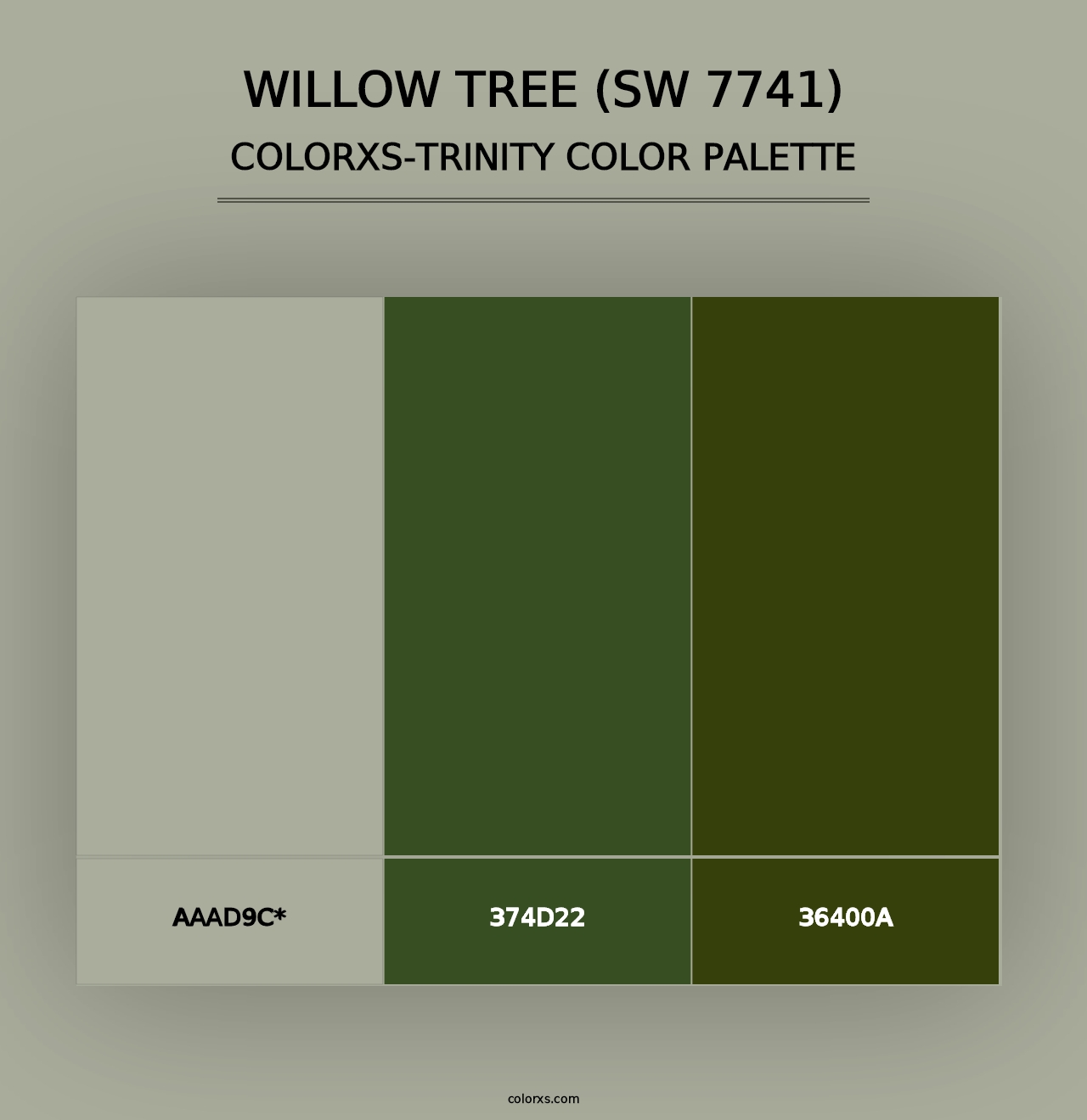 Willow Tree (SW 7741) - Colorxs Trinity Palette