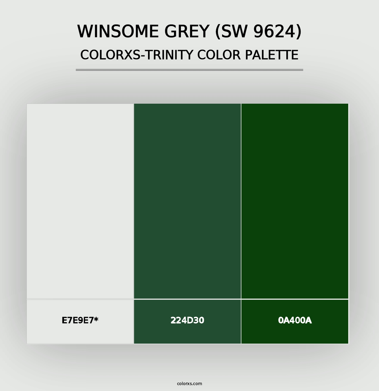 Winsome Grey (SW 9624) - Colorxs Trinity Palette