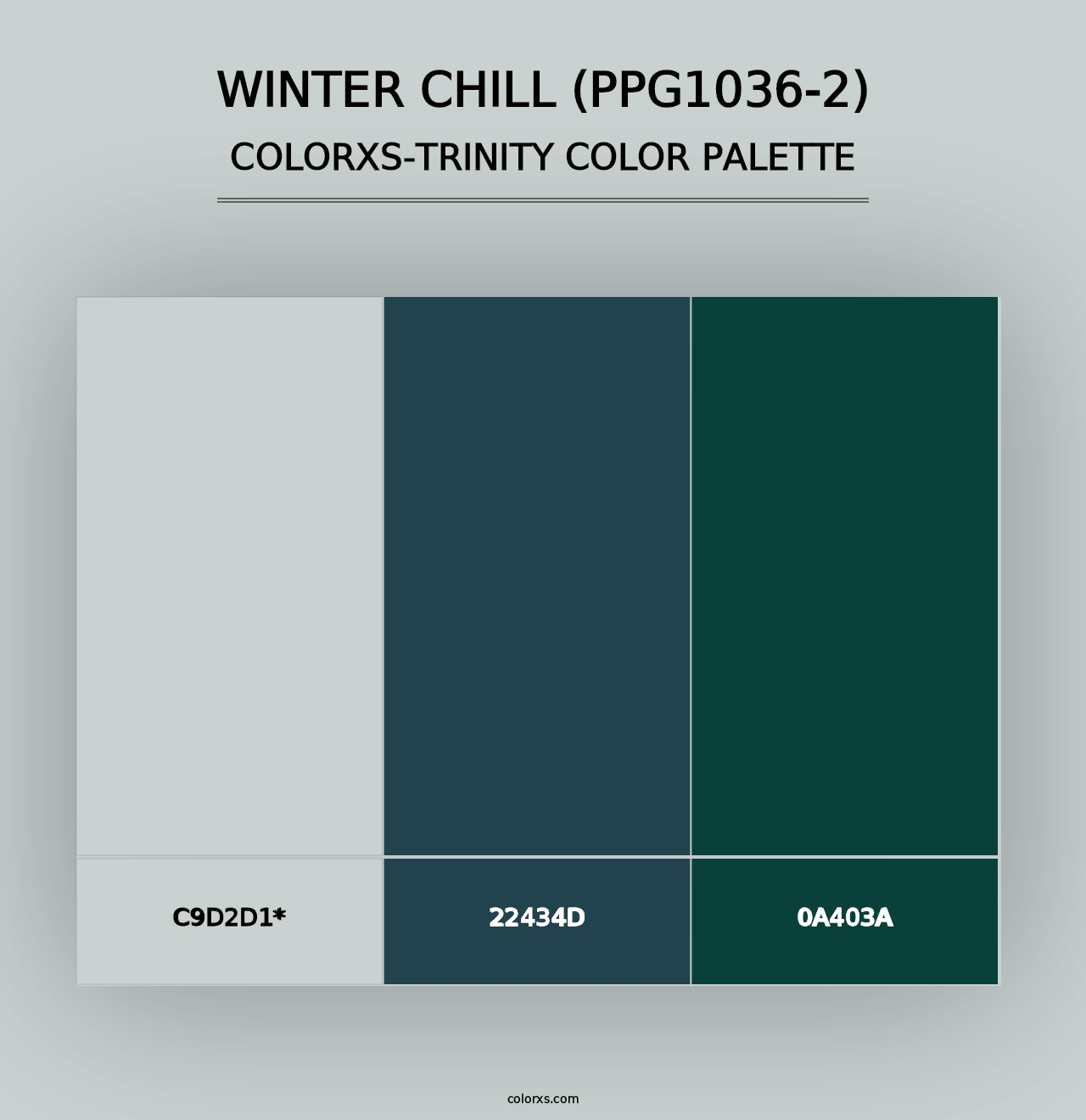 Winter Chill (PPG1036-2) - Colorxs Trinity Palette